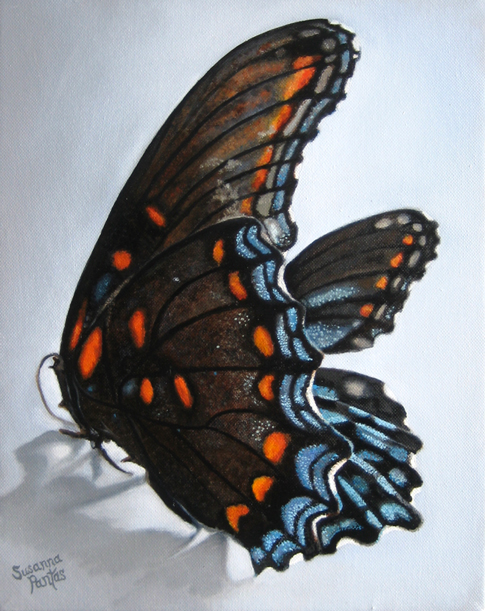 Contemplation: Still Regal by Susanna Pantas